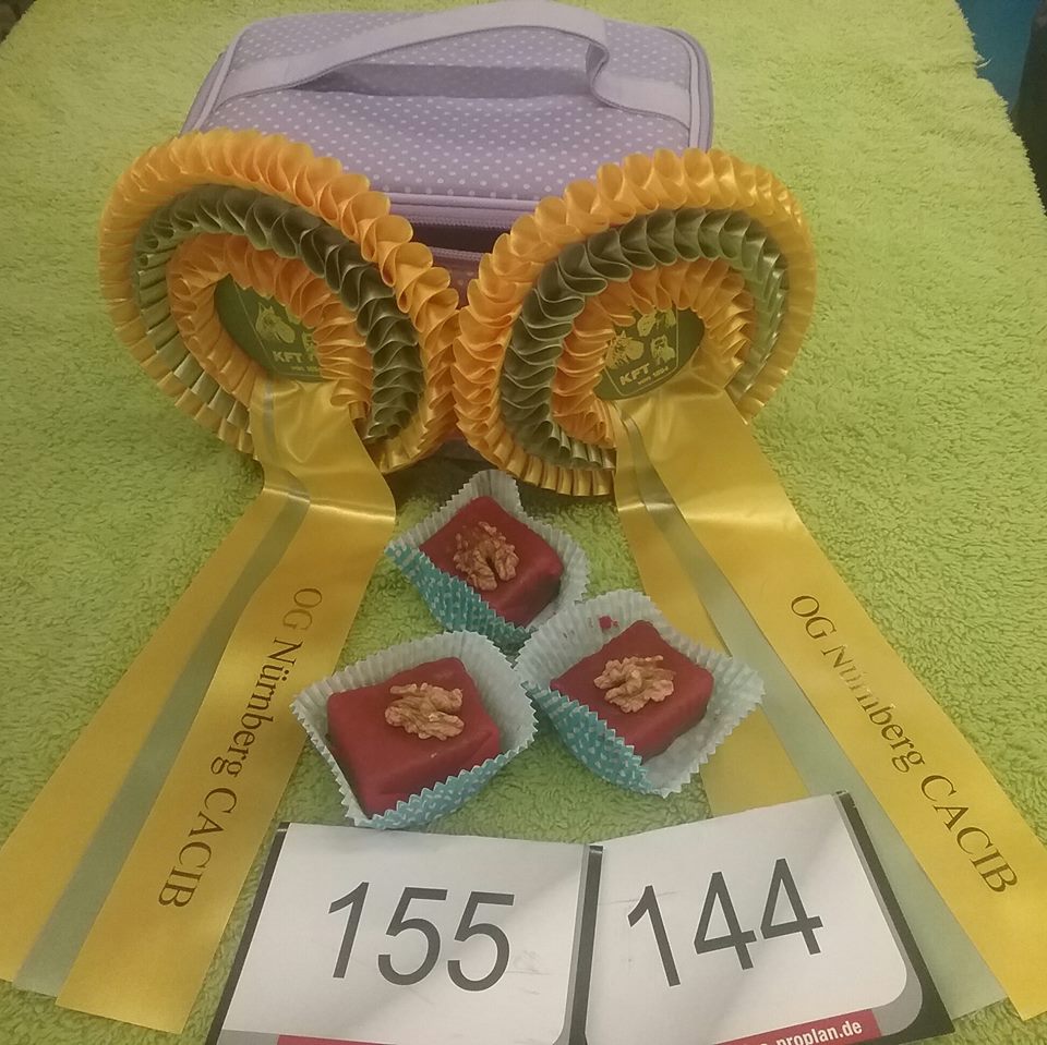 12495223_932329663488659_6303627082559557250_n 12495223_932329663488659_6303627082559557250_n