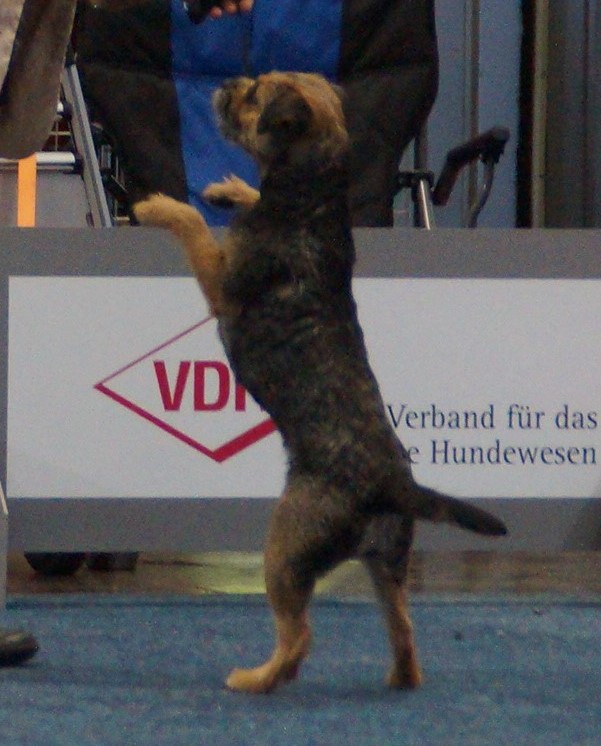 DSC04993 - Kopie DSC04993 - Kopie
